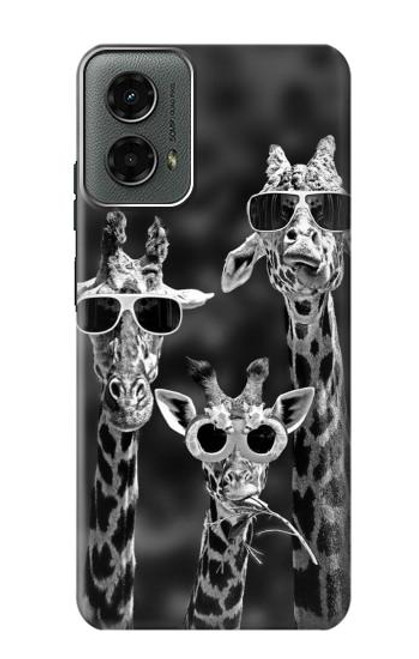 W2327 Giraffes With Sunglasses Hard Case and Leather Flip Case For Motorola Moto G 5G (2024)