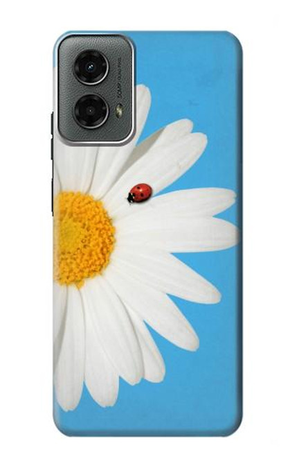 W3043 Vintage Daisy Lady Bug Hard Case and Leather Flip Case For Motorola Moto G 5G (2024)