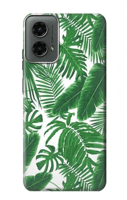 W3457 Paper Palm Monstera Hard Case and Leather Flip Case For Motorola Moto G 5G (2024)