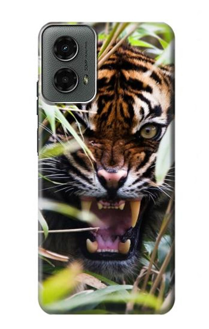 W3838 Barking Bengal Tiger Hard Case and Leather Flip Case For Motorola Moto G 5G (2024)