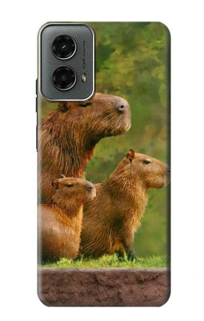 W3917 Capybara Family Giant Guinea Pig Hard Case and Leather Flip Case For Motorola Moto G 5G (2024)