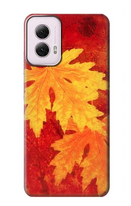 W0479 Maple Leaf Hard Case and Leather Flip Case For Motorola Moto G Power 5G (2024)