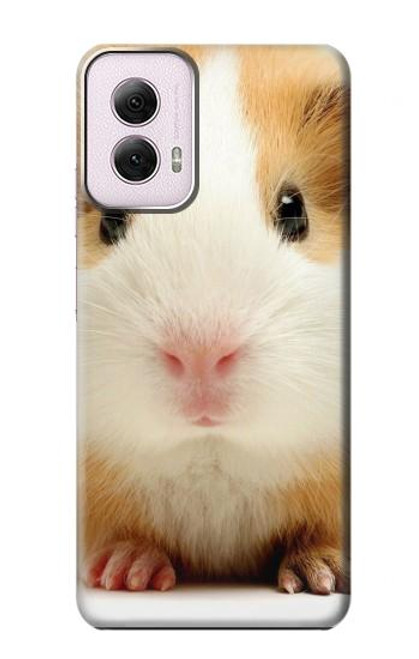 W1619 Cute Guinea Pig Hard Case and Leather Flip Case For Motorola Moto G Power 5G (2024)