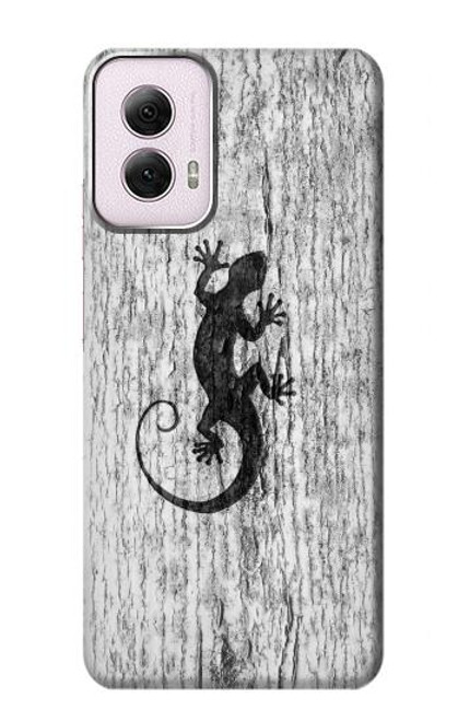 W2446 Gecko Wood Graphic Printed Hard Case and Leather Flip Case For Motorola Moto G Power 5G (2024)