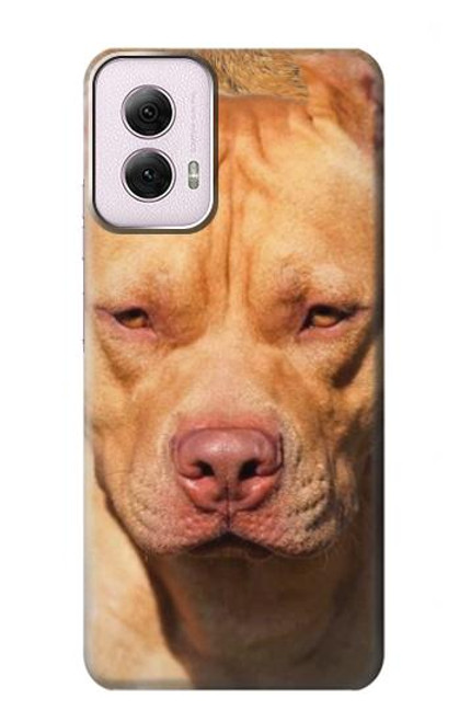 W2903 American Pitbull Dog Hard Case and Leather Flip Case For Motorola Moto G Power 5G (2024)