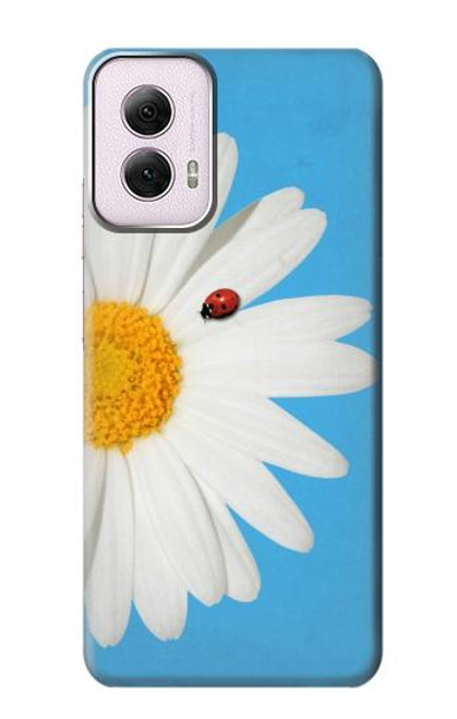 W3043 Vintage Daisy Lady Bug Hard Case and Leather Flip Case For Motorola Moto G Power 5G (2024)