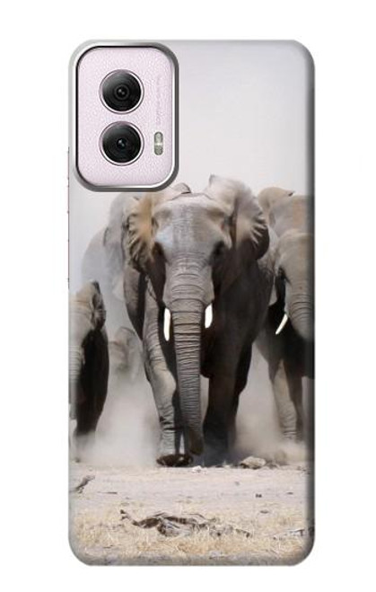 W3142 African Elephant Hard Case and Leather Flip Case For Motorola Moto G Power 5G (2024)