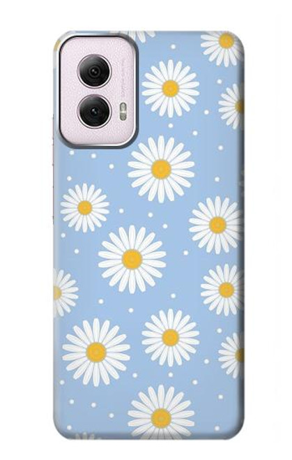 W3681 Daisy Flowers Pattern Hard Case and Leather Flip Case For Motorola Moto G Power 5G (2024)