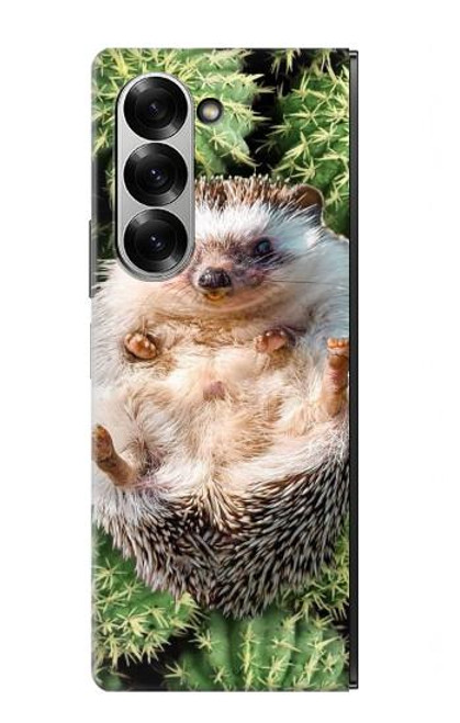 W3863 Pygmy Hedgehog Dwarf Hedgehog Paint Hard Case and Leather Flip Case For Samsung Galaxy Z Fold 6