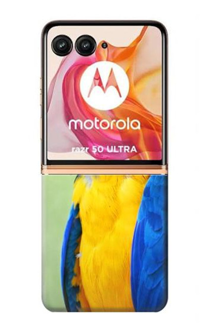 W3888 Macaw Face Bird Hard Case and Leather Flip Case For Motorola Razr 50 Ultra