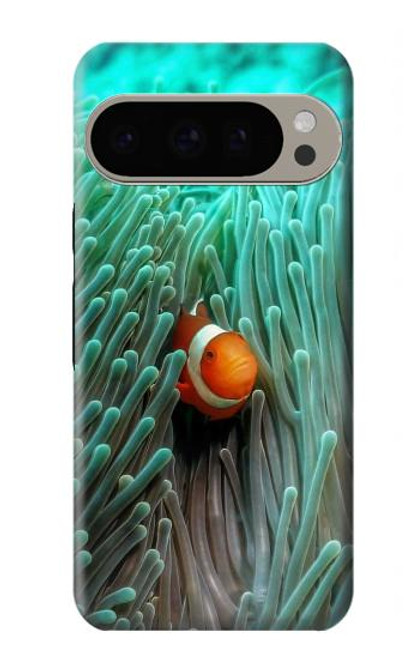 W3893 Ocellaris clownfish Hard Case and Leather Flip Case For Google Pixel 9 Pro