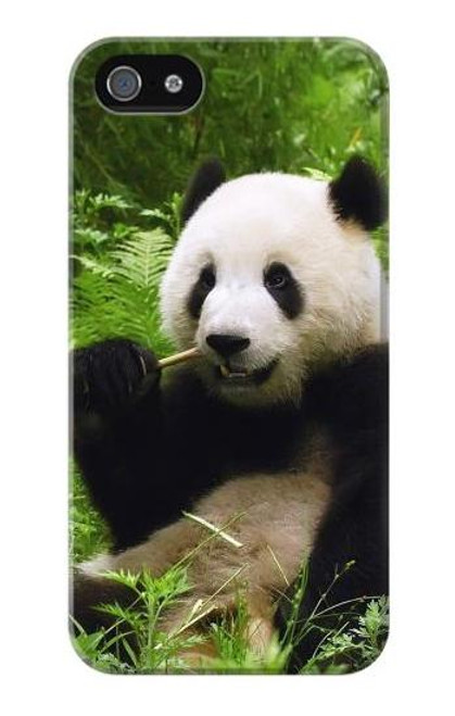 W1073 Panda Enjoy Eating Hard Case and Leather Flip Case For iPhone 5 5S SE