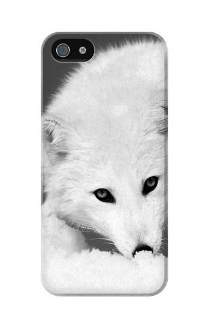 W2569 White Arctic Fox Hard Case and Leather Flip Case For iPhone 5C