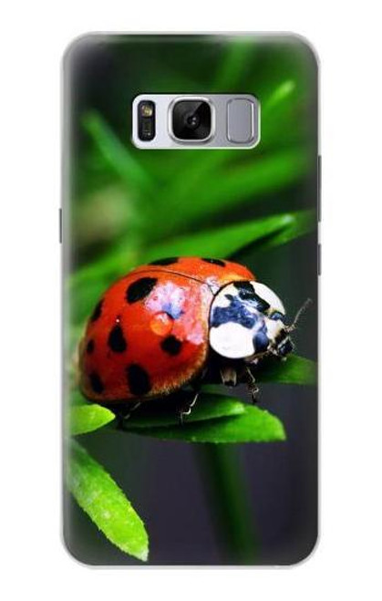 W0263 Ladybug Hard Case and Leather Flip Case For Samsung Galaxy S8 Plus