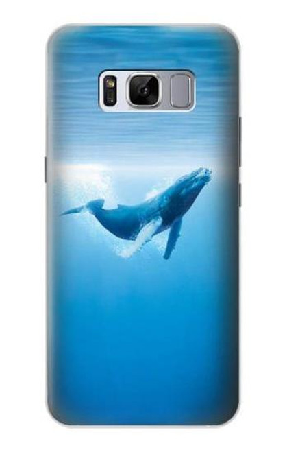 W0843 Blue Whale Hard Case and Leather Flip Case For Samsung Galaxy S8 Plus