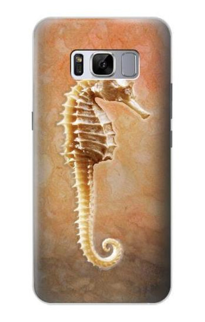 W2674 Seahorse Skeleton Fossil Hard Case and Leather Flip Case For Samsung Galaxy S8 Plus