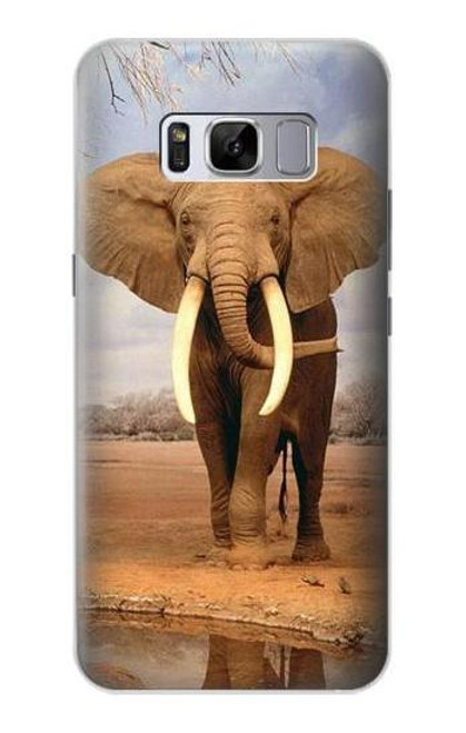 W0310 African Elephant Hard Case and Leather Flip Case For Samsung Galaxy S8