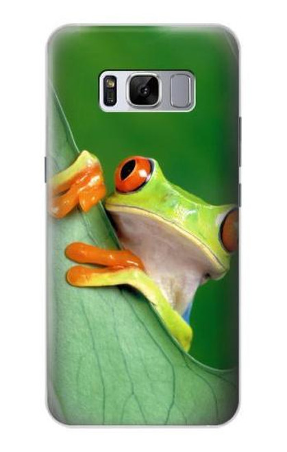 W1047 Little Frog Hard Case and Leather Flip Case For Samsung Galaxy S8