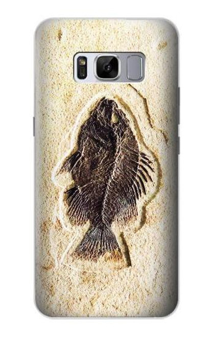 W2562 Fossil Fish Hard Case and Leather Flip Case For Samsung Galaxy S8