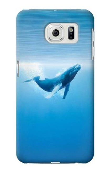 W0843 Blue Whale Hard Case and Leather Flip Case For Samsung Galaxy S7 Edge