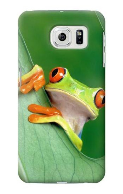 W1047 Little Frog Hard Case and Leather Flip Case For Samsung Galaxy S7 Edge