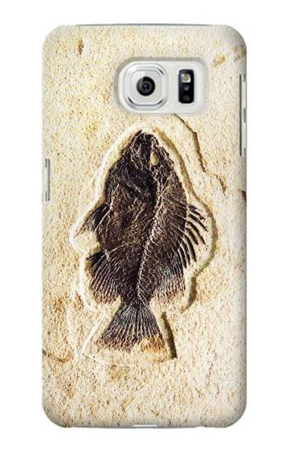 W2562 Fossil Fish Hard Case and Leather Flip Case For Samsung Galaxy S7 Edge