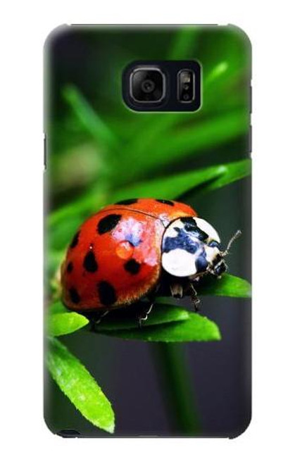 W0263 Ladybug Hard Case and Leather Flip Case For Samsung Galaxy S6 Edge Plus