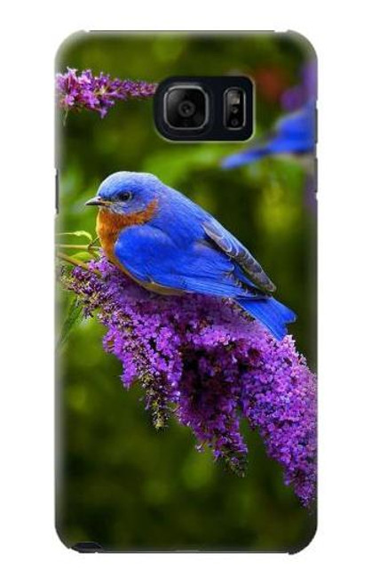 W1565 Bluebird of Happiness Blue Bird Hard Case and Leather Flip Case For Samsung Galaxy S6 Edge Plus