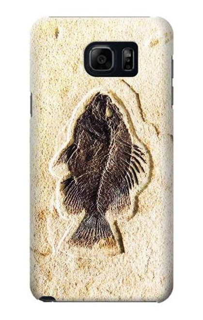 W2562 Fossil Fish Hard Case and Leather Flip Case For Samsung Galaxy S6 Edge Plus