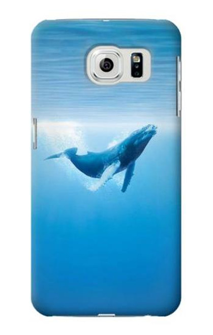 W0843 Blue Whale Hard Case and Leather Flip Case For Samsung Galaxy S6 Edge