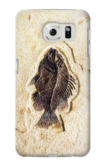 W2562 Fossil Fish Hard Case and Leather Flip Case For Samsung Galaxy S6 Edge