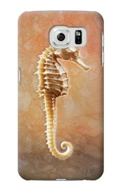 W2674 Seahorse Skeleton Fossil Hard Case and Leather Flip Case For Samsung Galaxy S6 Edge