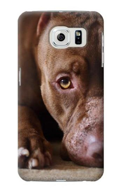 W0519 PitBull Face Hard Case and Leather Flip Case For Samsung Galaxy S6