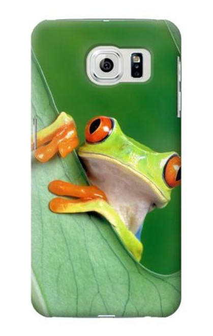 W1047 Little Frog Hard Case and Leather Flip Case For Samsung Galaxy S6