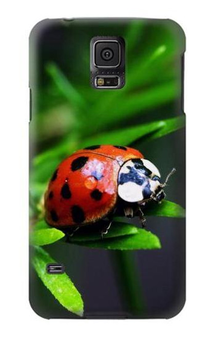 W0263 Ladybug Hard Case and Leather Flip Case For Samsung Galaxy S5