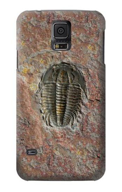 W1454 Trilobite Fossil Hard Case and Leather Flip Case For Samsung Galaxy S5