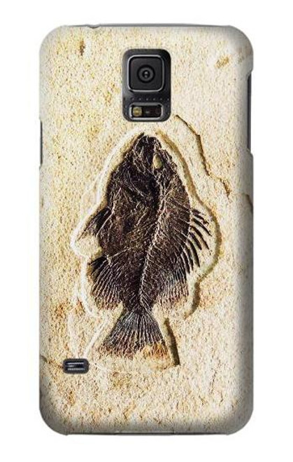 W2562 Fossil Fish Hard Case and Leather Flip Case For Samsung Galaxy S5