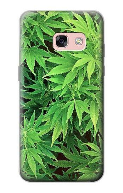 W1656 Marijuana Plant Hard Case and Leather Flip Case For Samsung Galaxy A3 (2017)