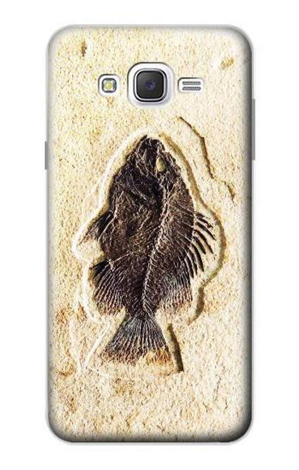 W2562 Fossil Fish Hard Case and Leather Flip Case For Samsung Galaxy J7