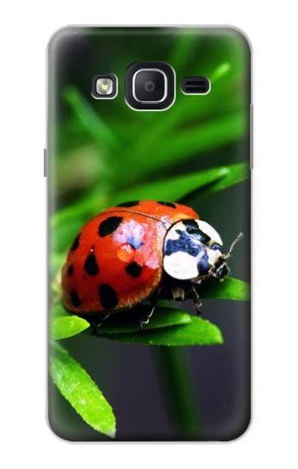 W0263 Ladybug Hard Case and Leather Flip Case For Samsung Galaxy On5