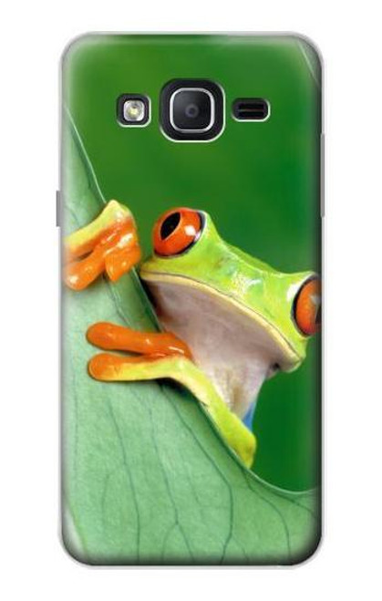 W1047 Little Frog Hard Case and Leather Flip Case For Samsung Galaxy On5