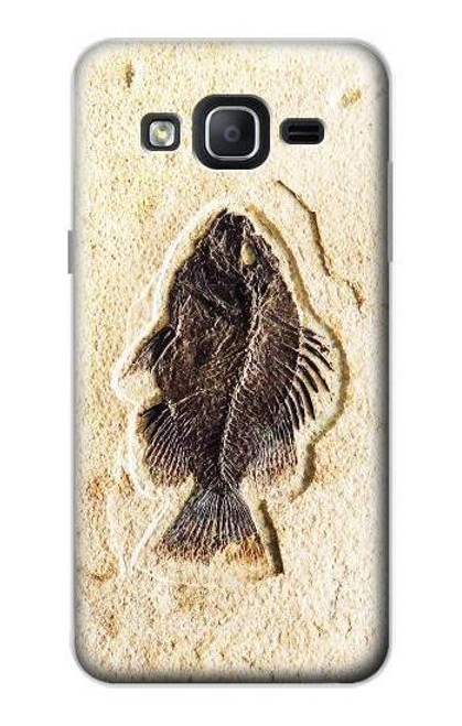 W2562 Fossil Fish Hard Case and Leather Flip Case For Samsung Galaxy On5