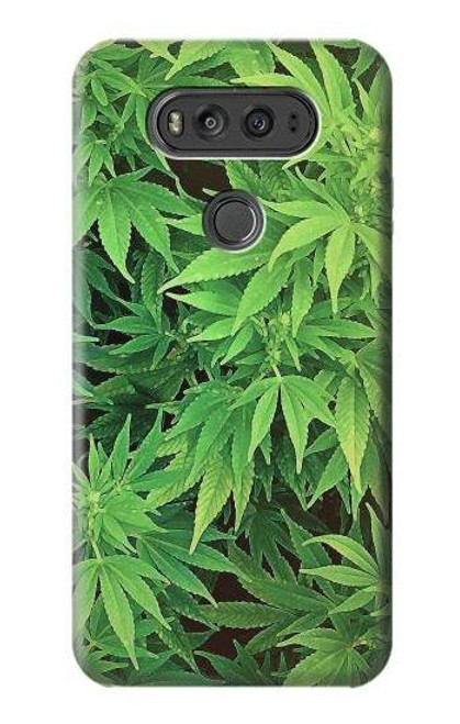 W1656 Marijuana Plant Hard Case and Leather Flip Case For LG V20