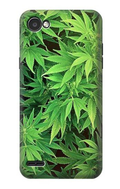 W1656 Marijuana Plant Hard Case and Leather Flip Case For LG Q6