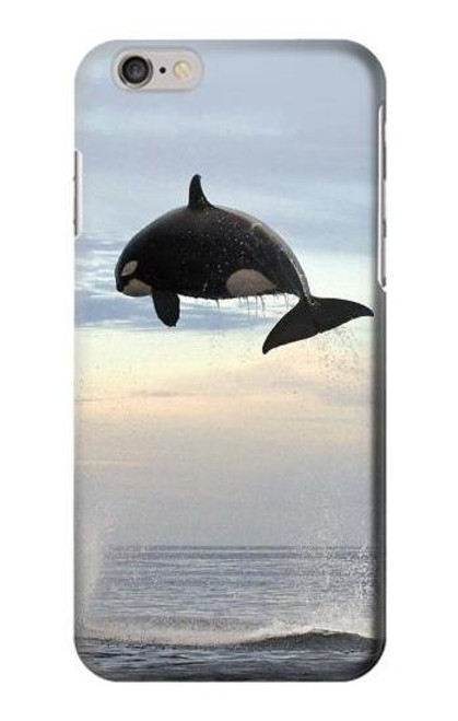 W1349 Killer whale Orca Hard Case and Leather Flip Case For iPhone 6 Plus, iPhone 6s Plus