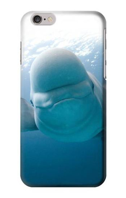 W1801 Beluga Whale Smile Whale Hard Case and Leather Flip Case For iPhone 6 Plus, iPhone 6s Plus