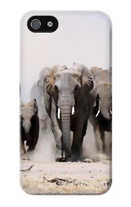 W3142 African Elephant Hard Case and Leather Flip Case For iPhone 4 4S