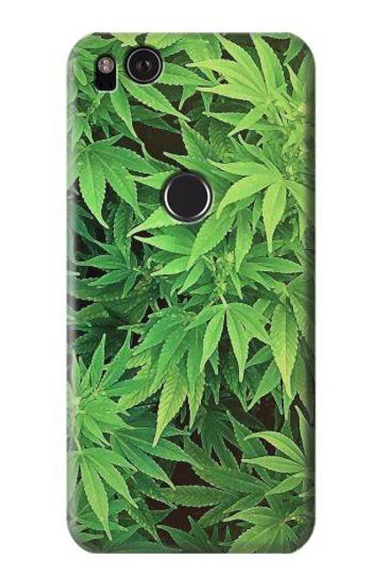 W1656 Marijuana Plant Hard Case and Leather Flip Case For Google Pixel 2