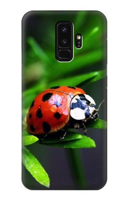 W0263 Ladybug Hard Case and Leather Flip Case For Samsung Galaxy S9 Plus