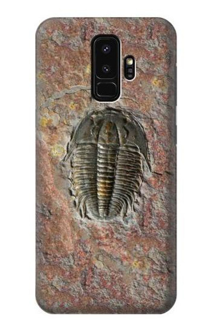 W1454 Trilobite Fossil Hard Case and Leather Flip Case For Samsung Galaxy S9 Plus